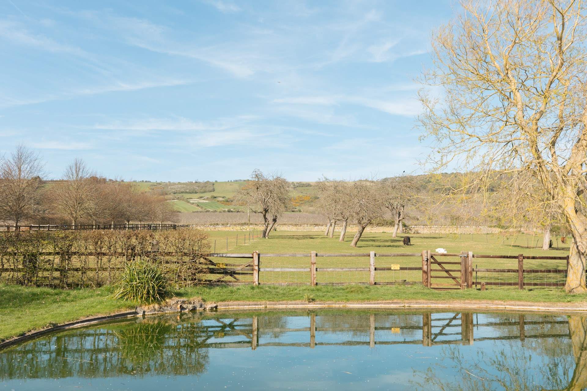 Step outside the door and be met with this, bliss!