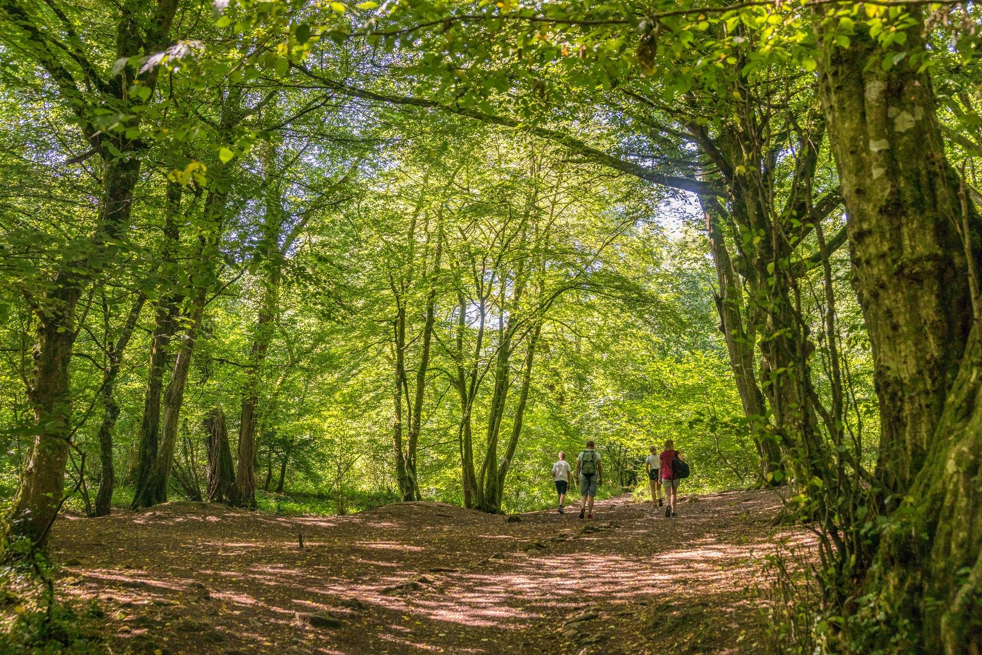 The Mendip Hills are a haven for cyclists and walkers.