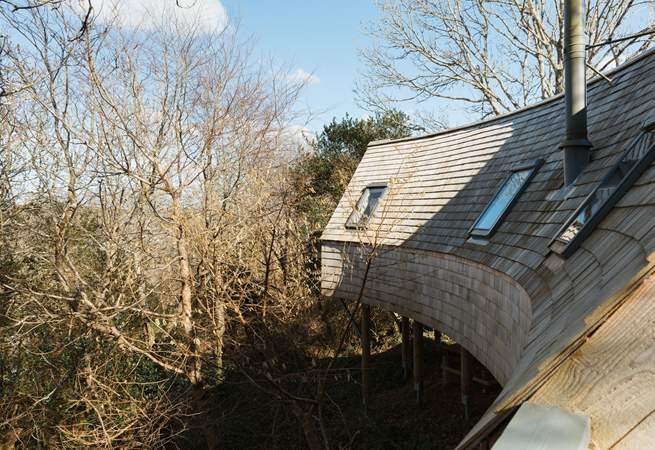 Nestled amongst the treetops, this dog friendly hideaway is the perfect place to escape. 