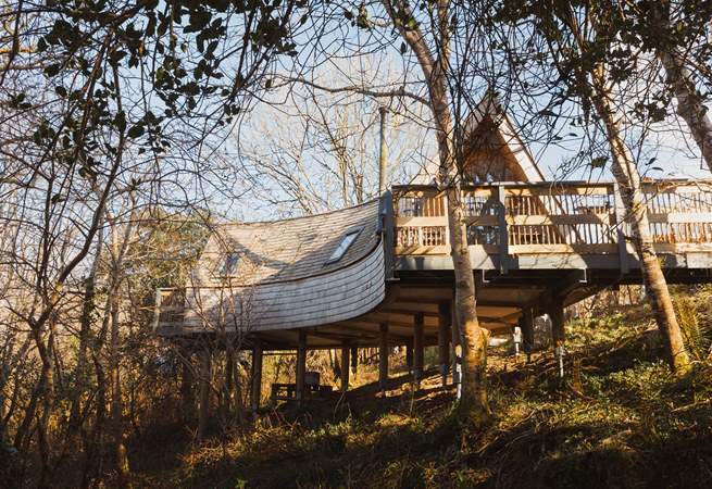 Welcome to Kalmynsi Treehouse.