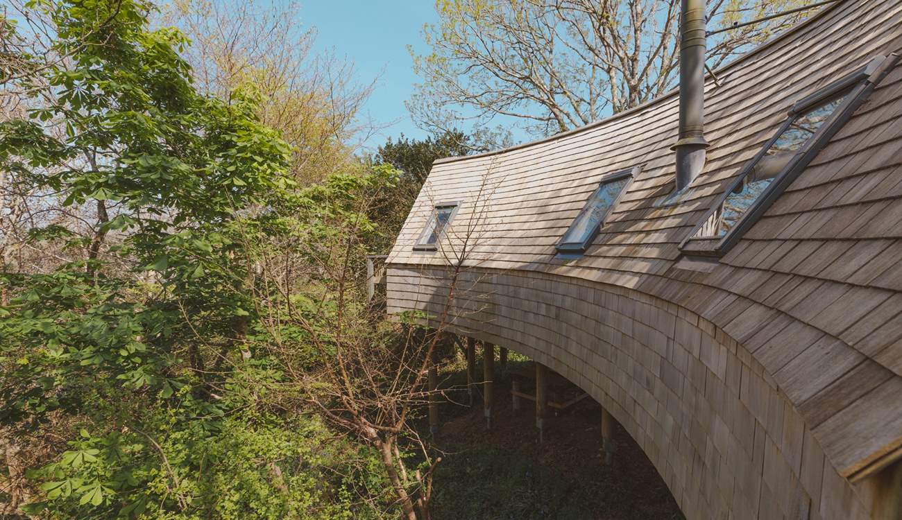 Nestled amongst the treetops, this dog friendly hideaway is the perfect place to escape. 