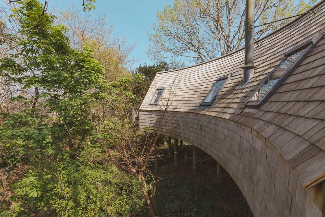 Nestled amongst the treetops, this dog friendly hideaway is the perfect place to escape.