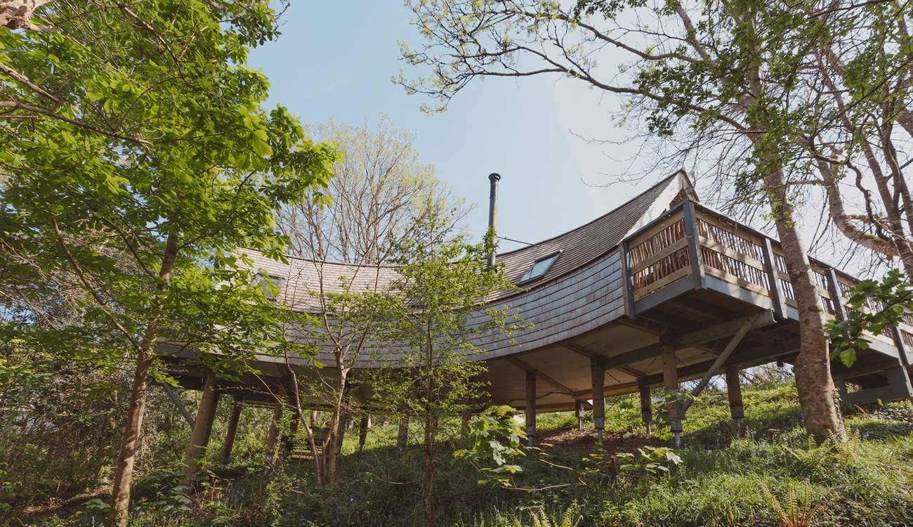 The captivating curve of the treehouse makes it such a special space.