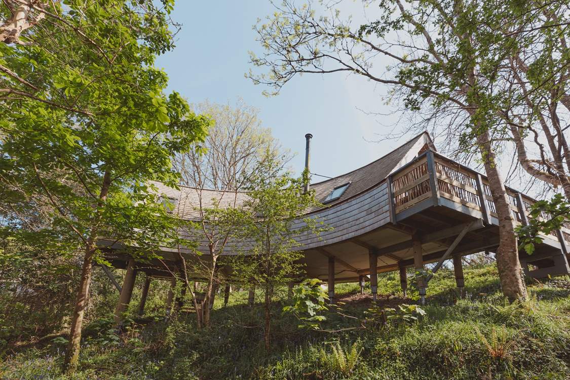 The captivating curve of the treehouse makes it such a special space.