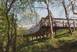 Welcome to Kalmynsi Treehouse.
