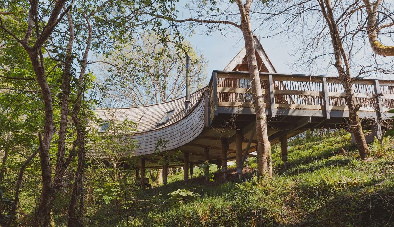 Welcome to Kalmynsi Treehouse.