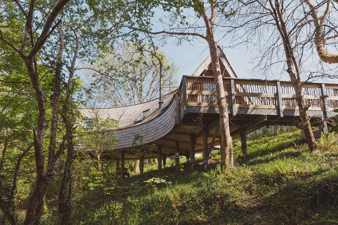 Welcome to Kalmynsi Treehouse.