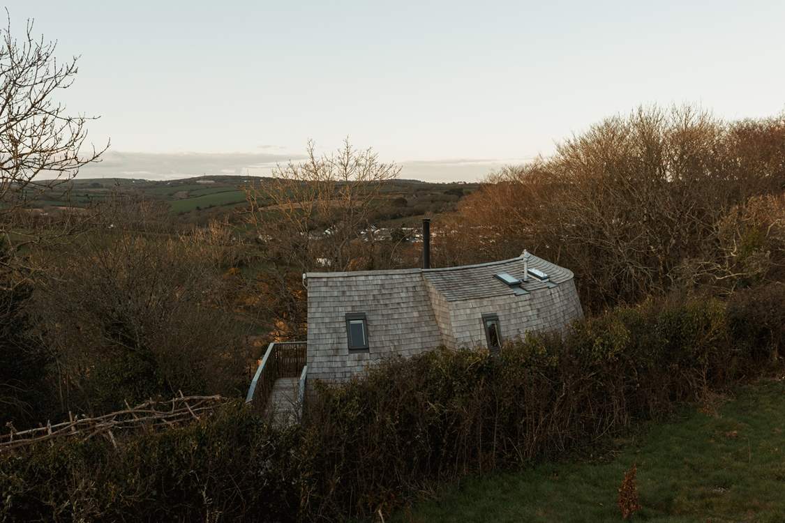 The magical treetop escape.