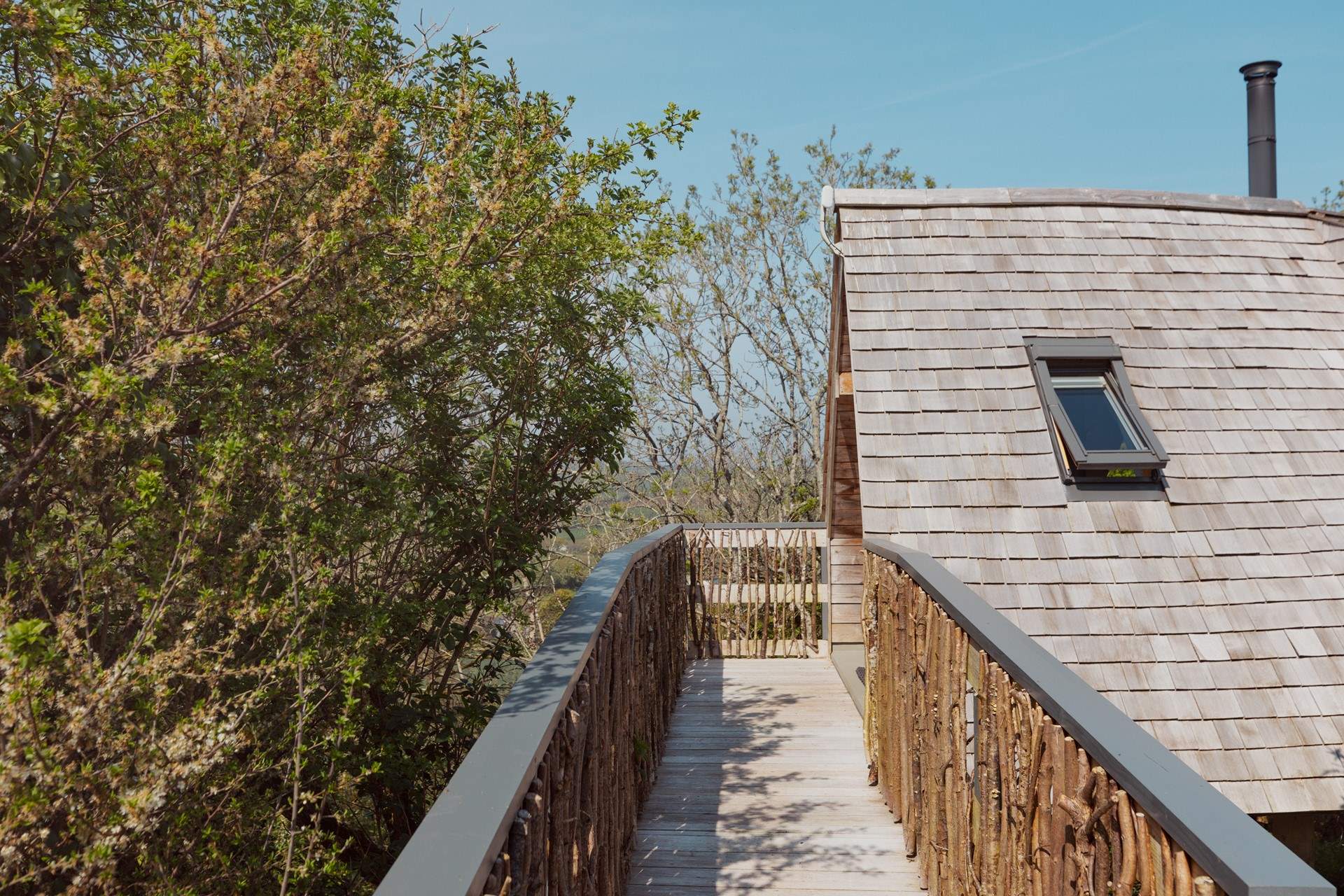 Such a magical setting.