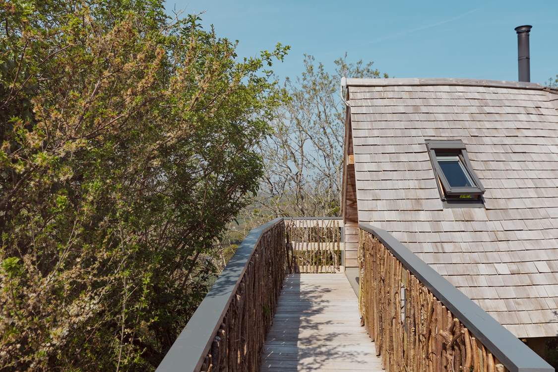 Such a magical setting.