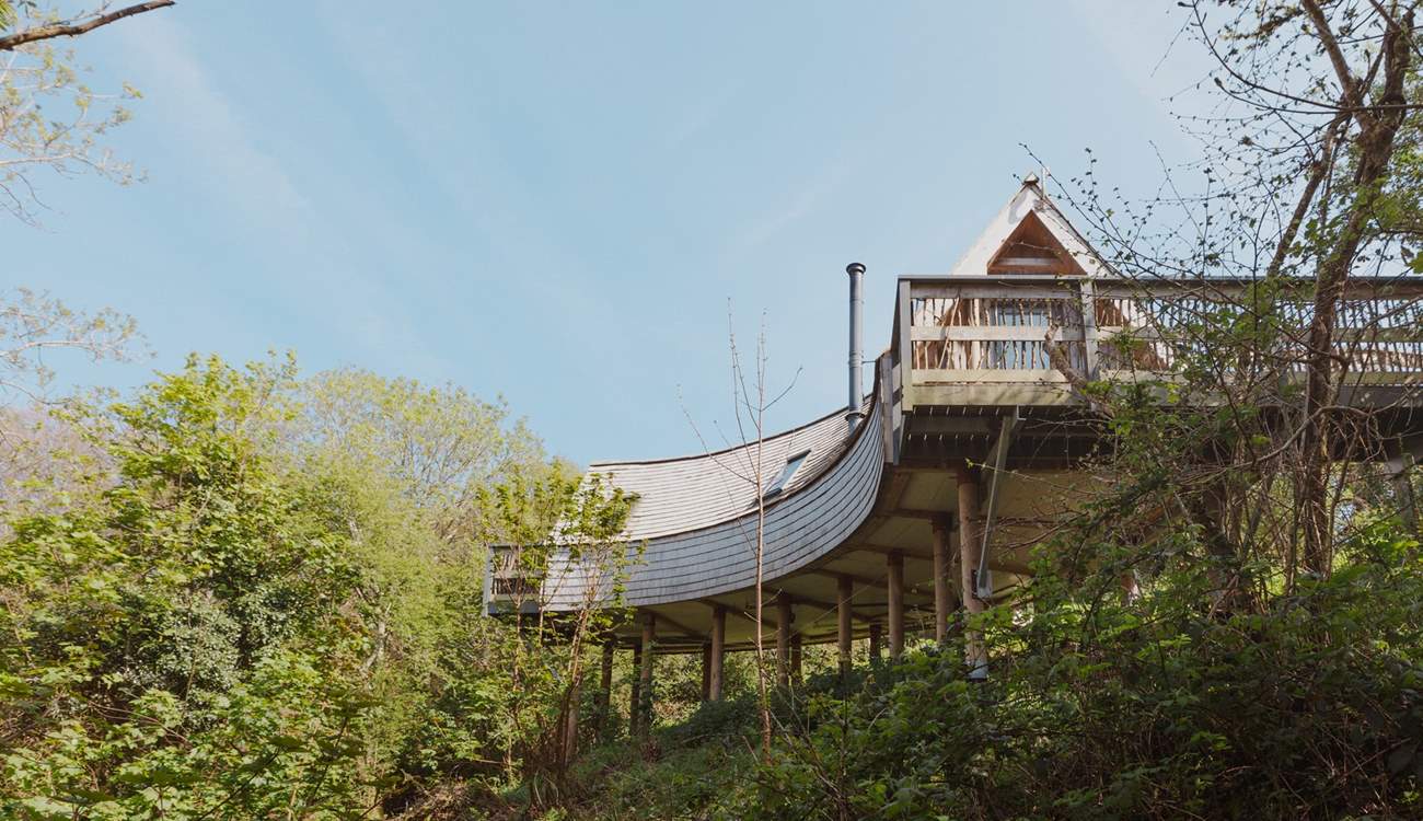 Welcome to Skapya Treehouse. 