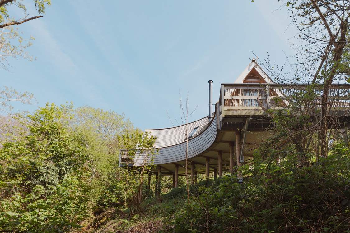 Welcome to Skapya Treehouse.