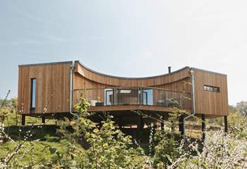 Welcome to Daskor Treehouse. 