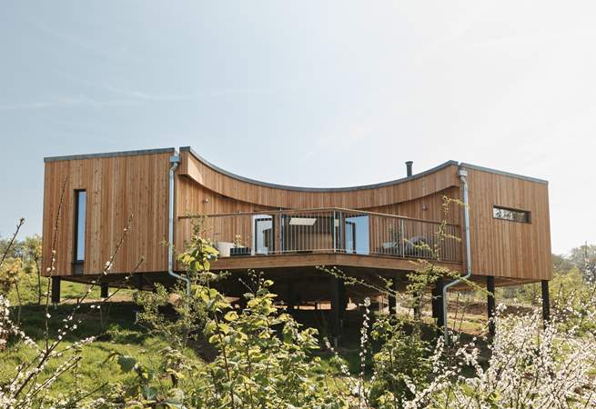 Welcome to Daskor Treehouse. 