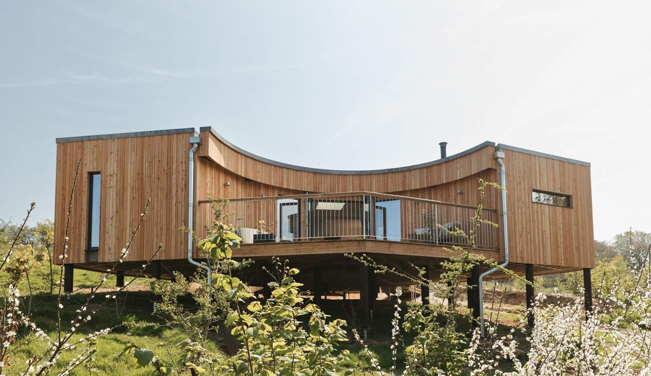 Welcome to Daskor Treehouse. 