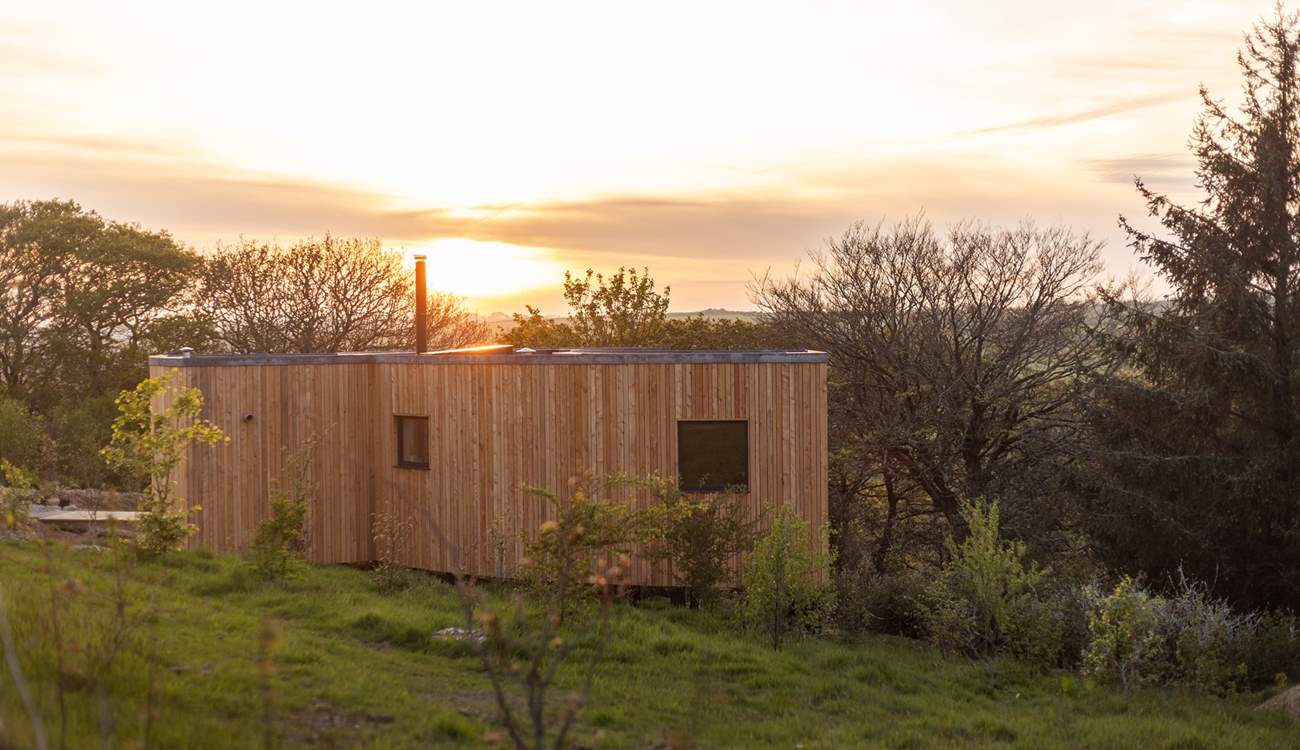 An enchanting Cornish hideaway with treetop views that stretch to the horizon.