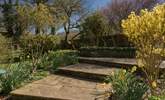 Lots of wildlife visit the garden.  - Thumbnail Image