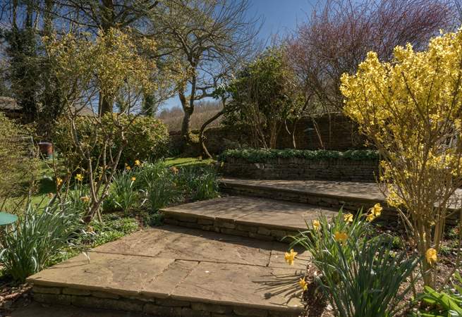 Lots of wildlife visit the garden. 