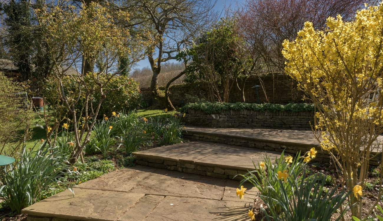 Lots of wildlife visit the garden. 