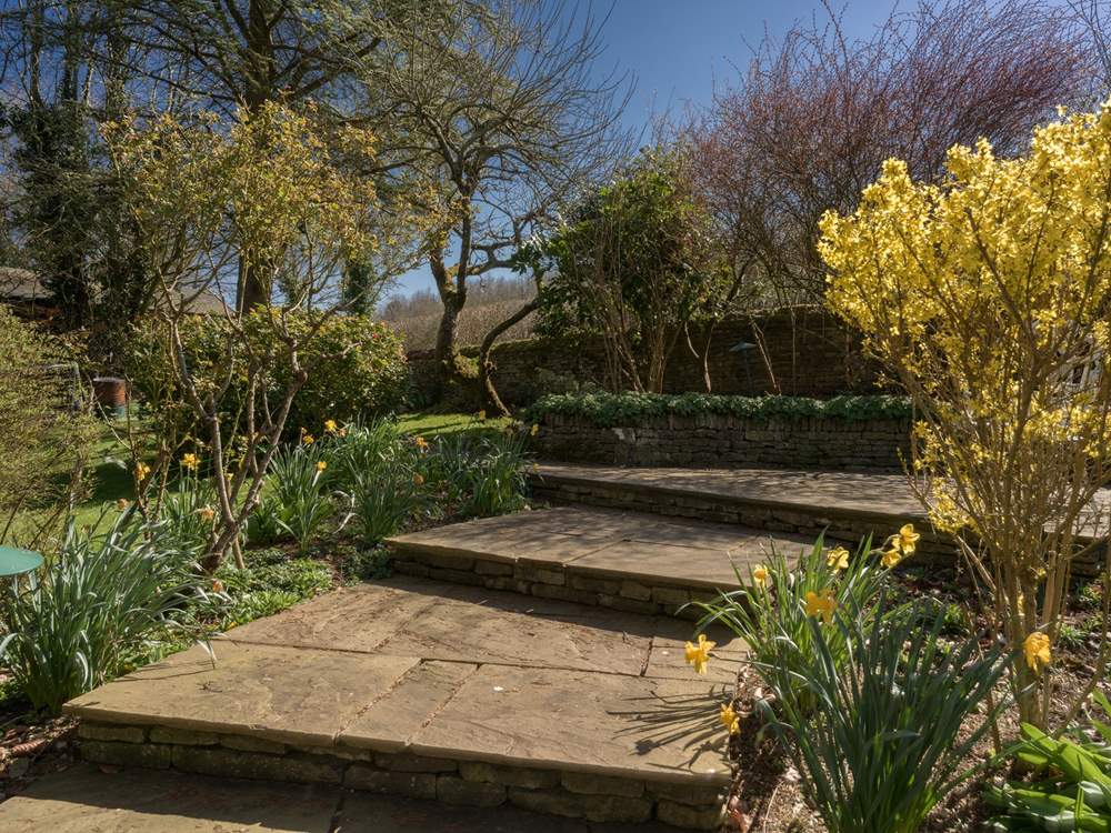 Lots of wildlife visit the garden.