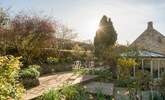 Sit on the terrace in the dappled sunlight.  - Thumbnail Image
