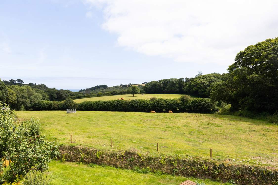 What a tranquil view.