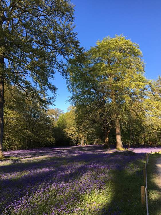 Enys Gardens are beautiful and only a five minute drive or explore the footpaths to get here.