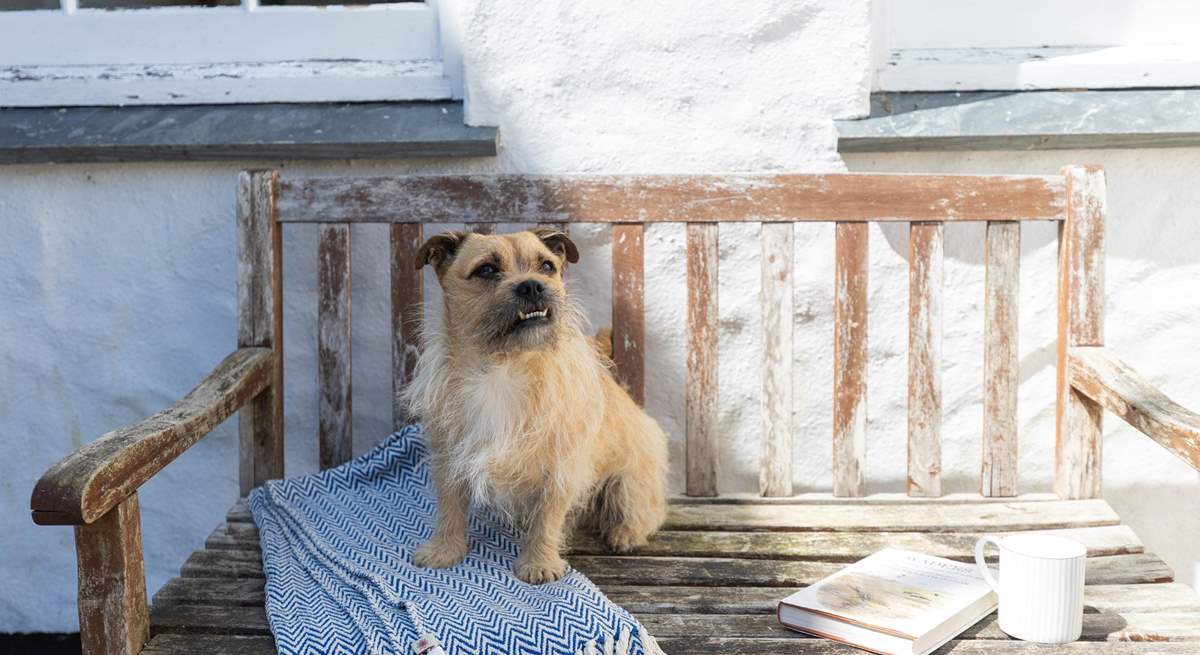 Four legged friends will love it here. 