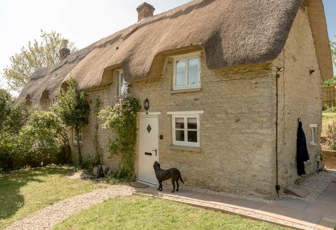 Doggies are welcome.