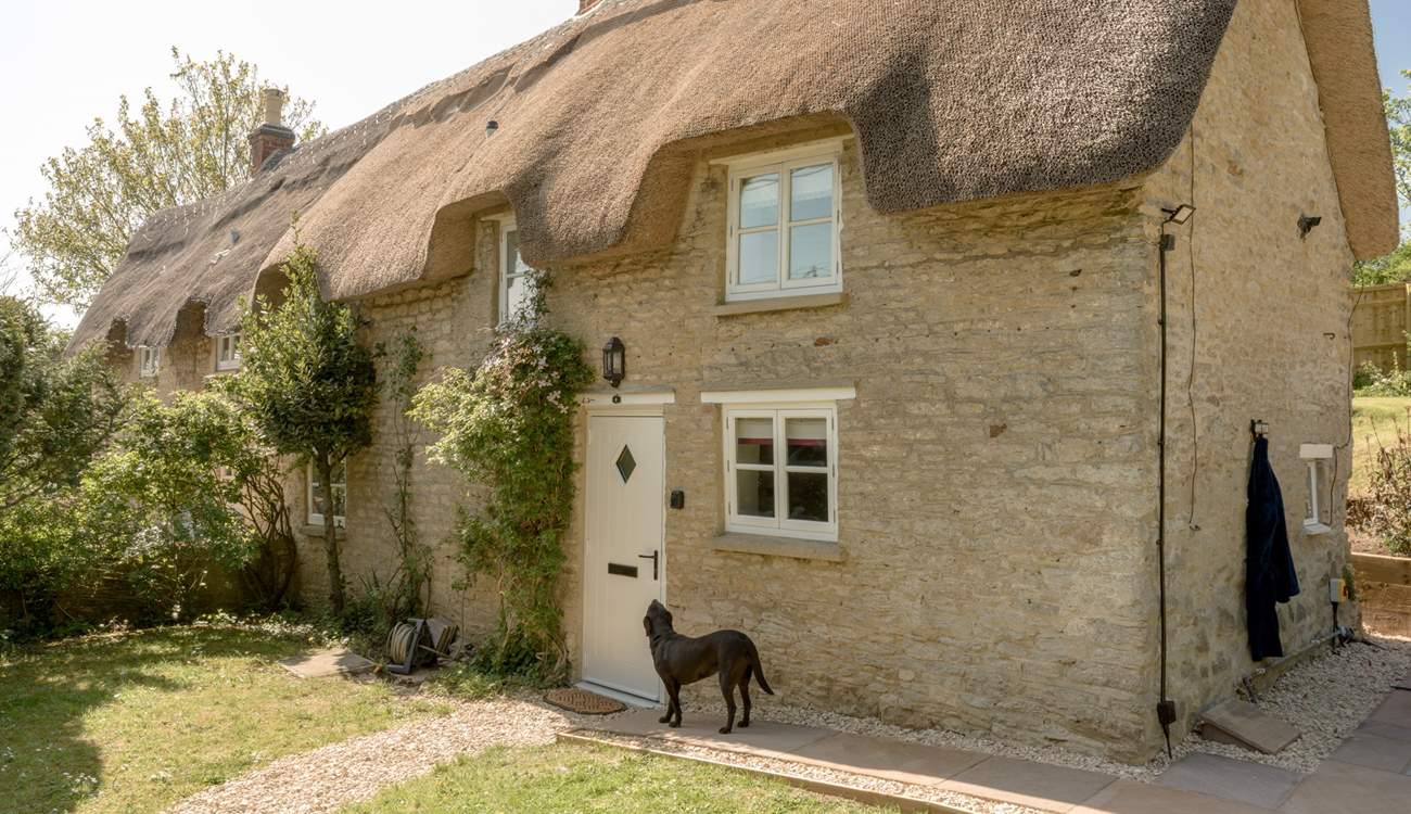 Doggies are welcome.