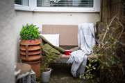 Peace and quiet in the rear courtyard.