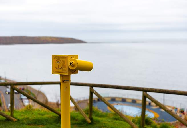 See how many boats you can spot.