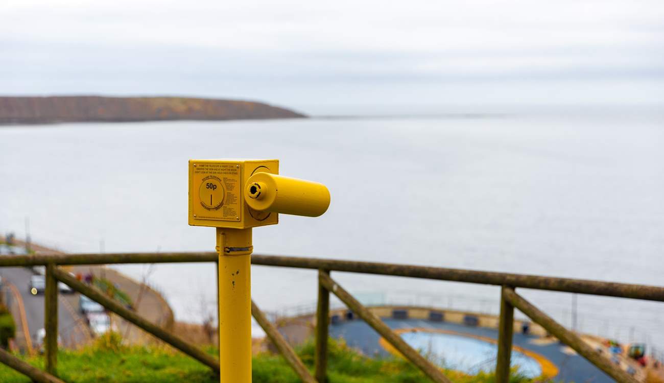 See how many boats you can spot.