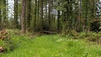 The entrance to one of the woodland trails, which is on your doorstep. 