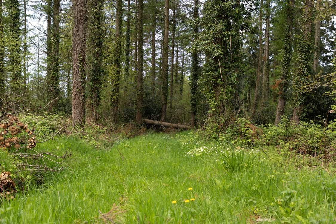 The entrance to one of the woodland trails, which is on your doorstep.