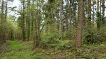 Hours of rambling and exploring can be enjoyed in this magical spot, the bonus being this is all on your doorstep.