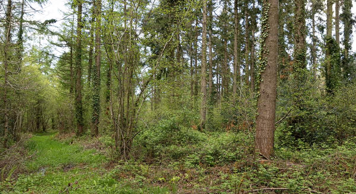 Hours of rambling and exploring can be enjoyed in this magical spot, the bonus being this is all on your doorstep.