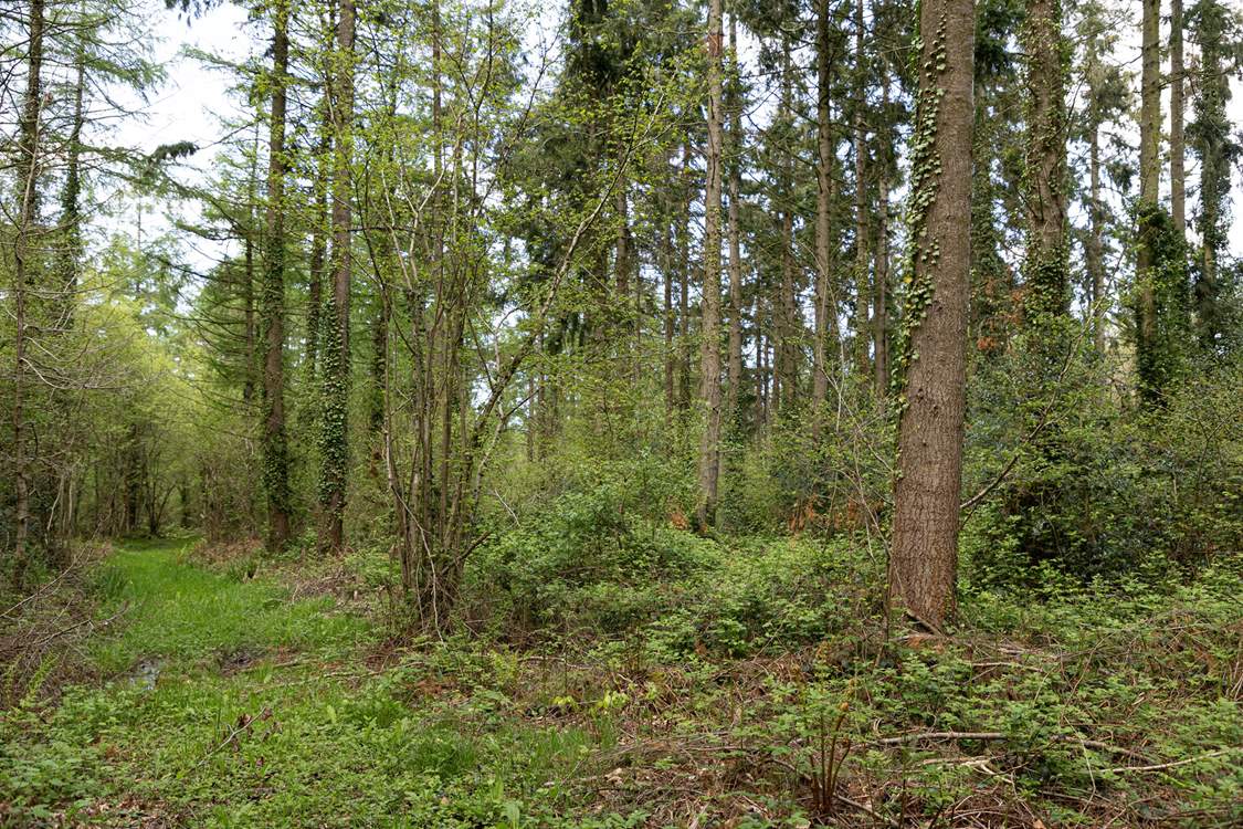 Hours of rambling and exploring can be enjoyed in this magical spot, the bonus being this is all on your doorstep.