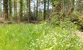 The wild flowers and unspoilt countryside is a true breath of fresh air. - Thumbnail Image