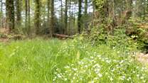 The wild flowers and unspoilt countryside is a true breath of fresh air.