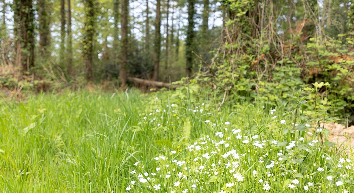 The wild flowers and unspoilt countryside is a true breath of fresh air.