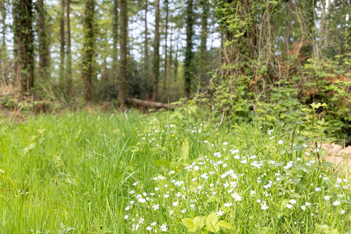 The wild flowers and unspoilt countryside is a true breath of fresh air.
