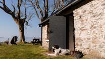 Your furry friend will love soaking up your spellbinding surroundings as much as you do. 