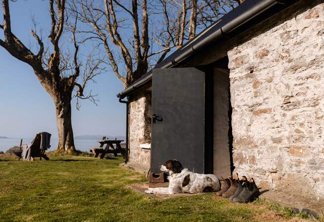 Your furry friend will love soaking up your spellbinding surroundings as much as you do. 