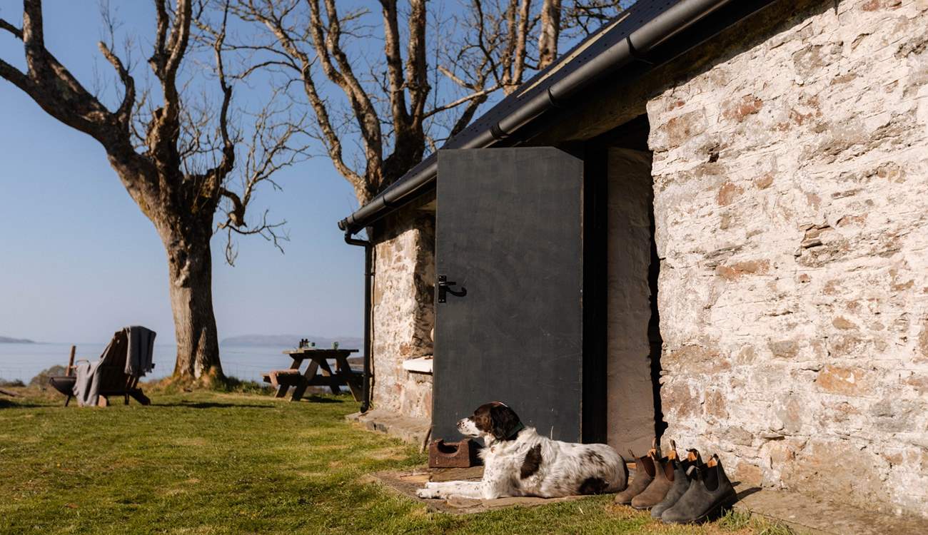 Your furry friend will love soaking up your spellbinding surroundings as much as you do. 