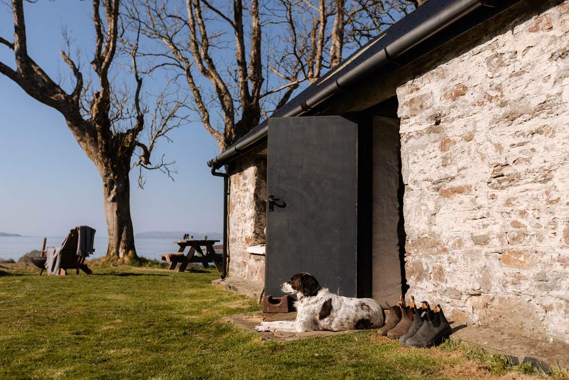 Your furry friend will love soaking up your spellbinding surroundings as much as you do.