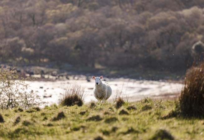 Say hello to your neighbours! 