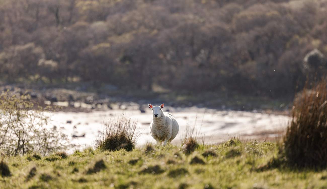 Say hello to your neighbours! 