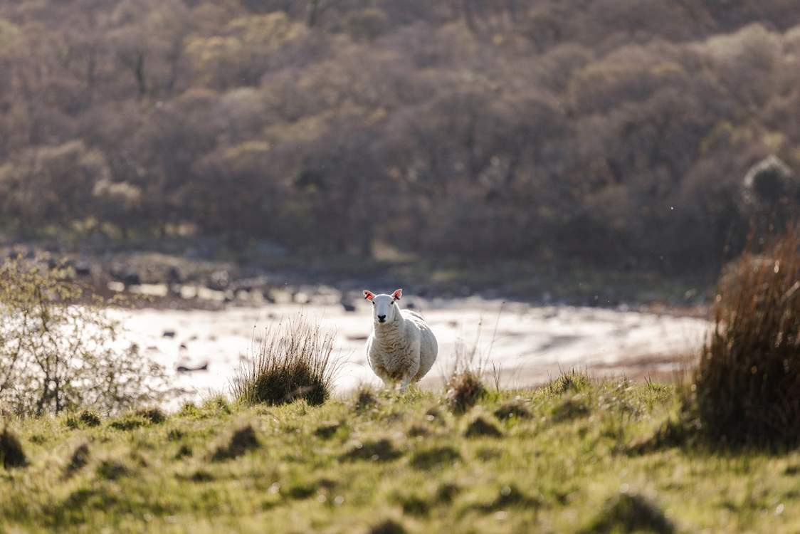 Say hello to your neighbours!