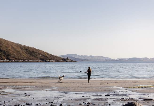 You have access to your own private beach where your four-legged friend can run freely. 